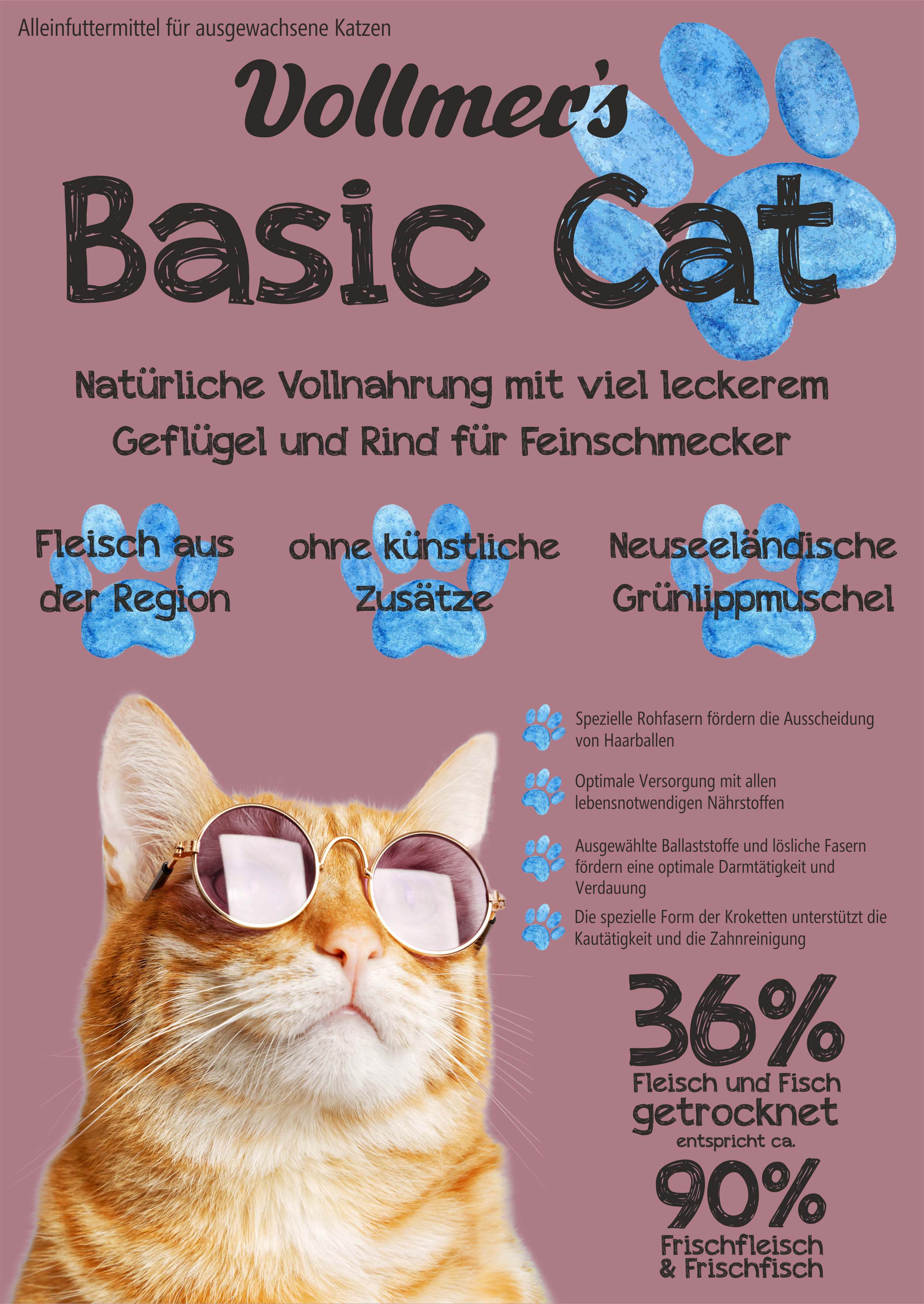 Vollmers Basic Cat 